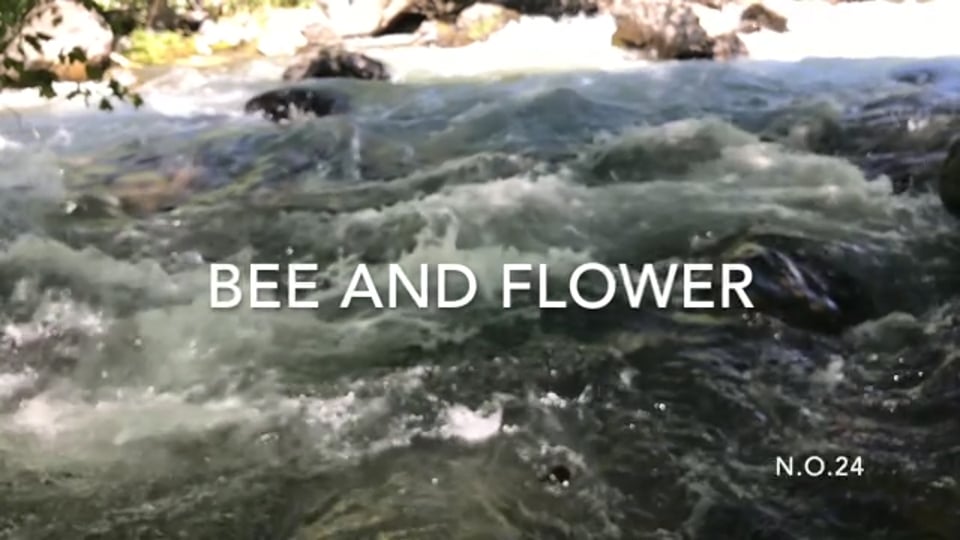 Still frame from RiverBeeFlower