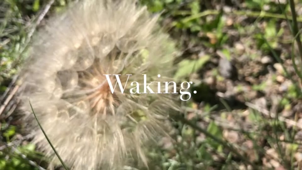 Still frame from Waking is Rising
